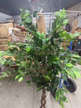 6 ft. Artificial Ficus Tree with Realistic Leaves and White Planter- new