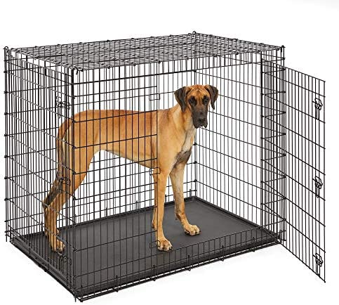 MidWest Homes for Pets XXL Giant Dog Crate | 54-Inch Long Ginormous Dog Crate!! NEW IN BOX!! WE DO NOT SHIP!