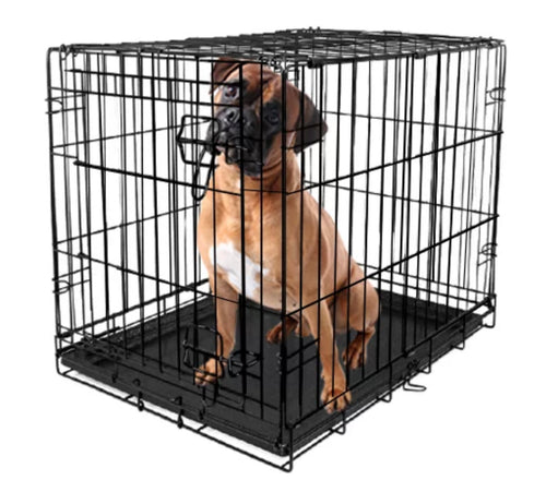Vibrant Life, Single-Door Folding Dog Crate with Divider, XX-Large, 48
